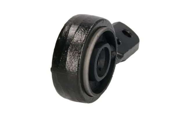 RH143019 Reinhoch