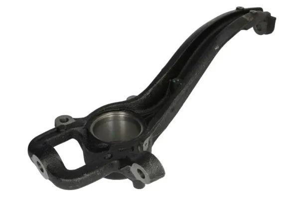 RH080018 Reinhoch