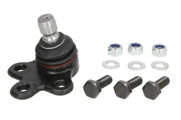 RH035019 Reinhoch