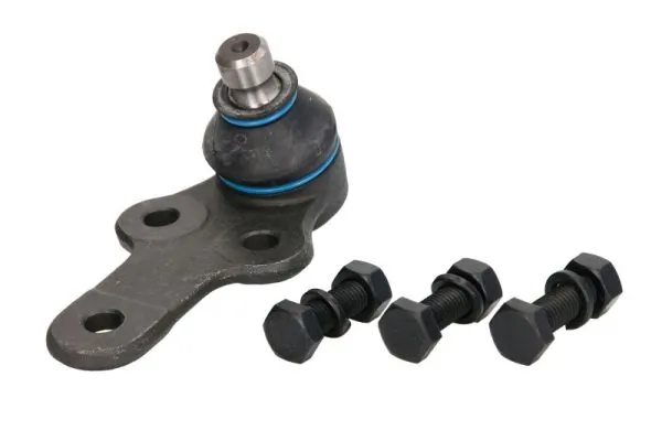 RH034005 Reinhoch