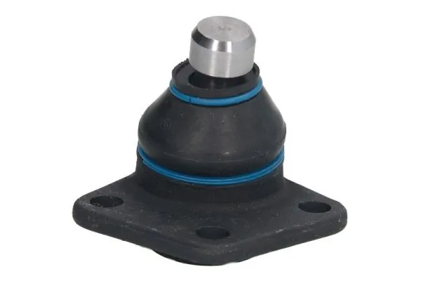 RH030018 Reinhoch