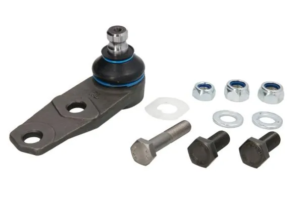 RH032004 Reinhoch