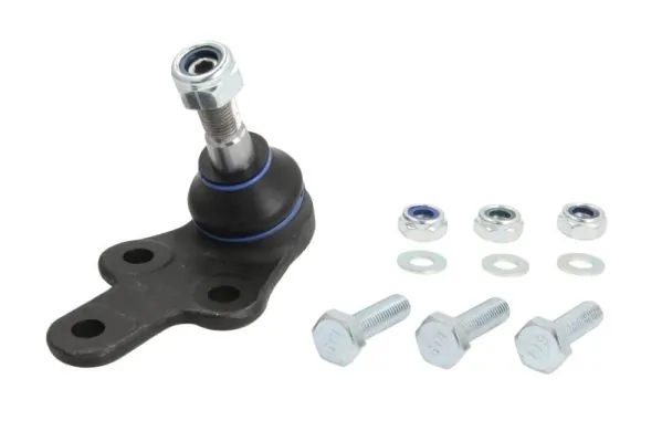 RH034016 Reinhoch