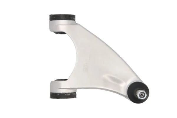 RH041004 Reinhoch