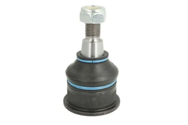 RH032025 Reinhoch