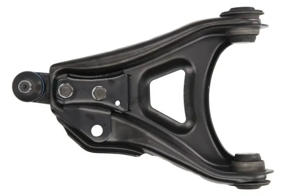 RH042039 Reinhoch