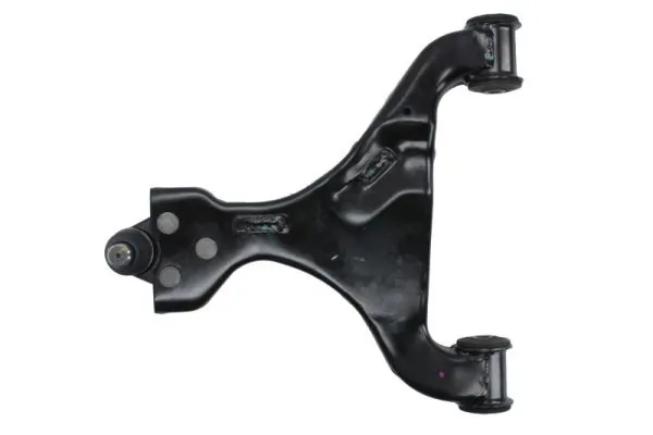 RH043076 Reinhoch