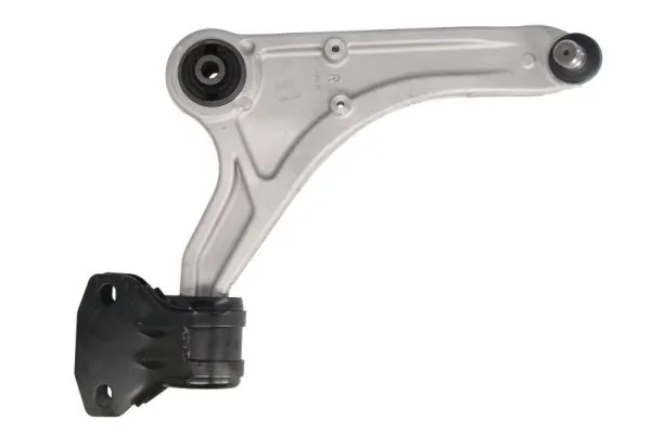 RH044039 Reinhoch