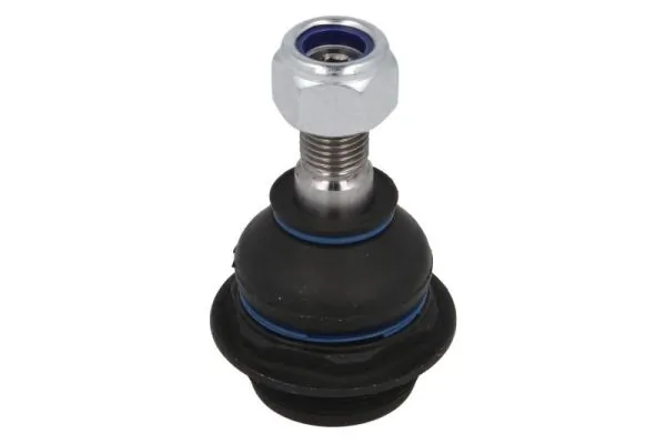 RH032033 Reinhoch