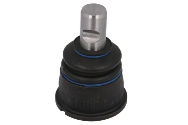 RH033003 Reinhoch