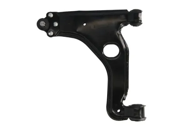 RH045008 Reinhoch