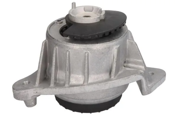 RH113121 Reinhoch