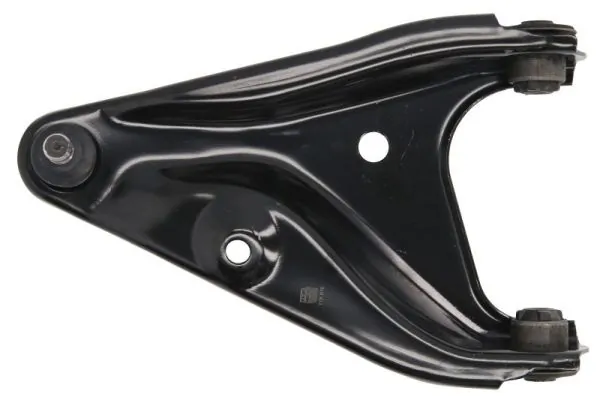 RH042007 Reinhoch