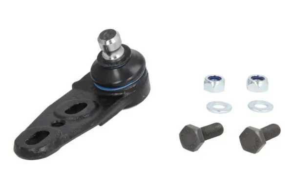 RH030005 Reinhoch