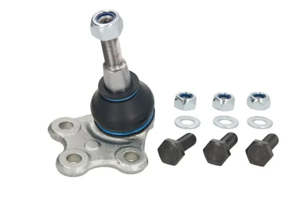 RH032024 Reinhoch