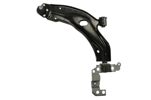 RH041023 Reinhoch