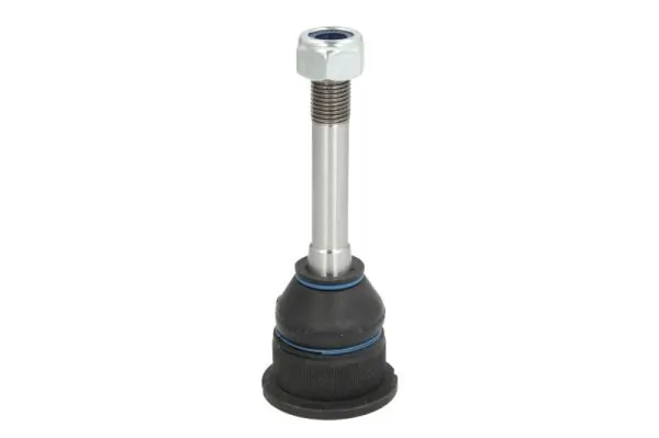 RH033009 Reinhoch