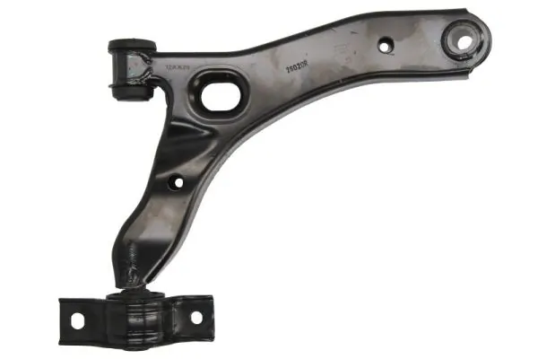 RH044049 Reinhoch