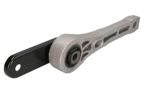 RH110070 Reinhoch