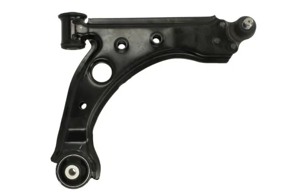 RH041046 Reinhoch