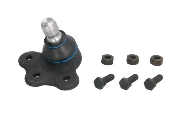 RH035008 Reinhoch