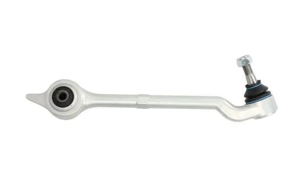 RH043018 Reinhoch