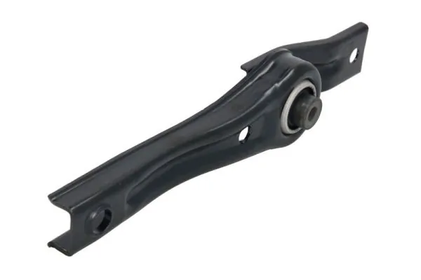 RH110090 Reinhoch
