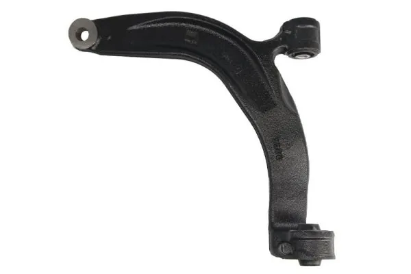 RH040058 Reinhoch