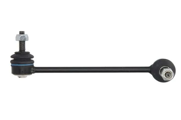 RH063051 Reinhoch