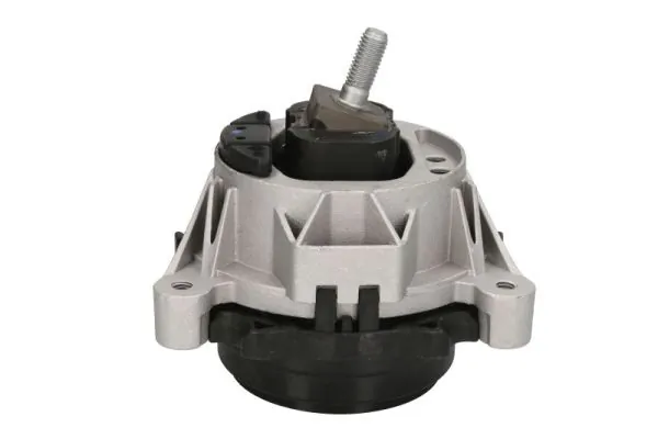 RH113066 Reinhoch