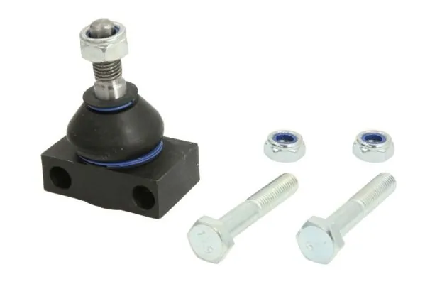 RH033018 Reinhoch