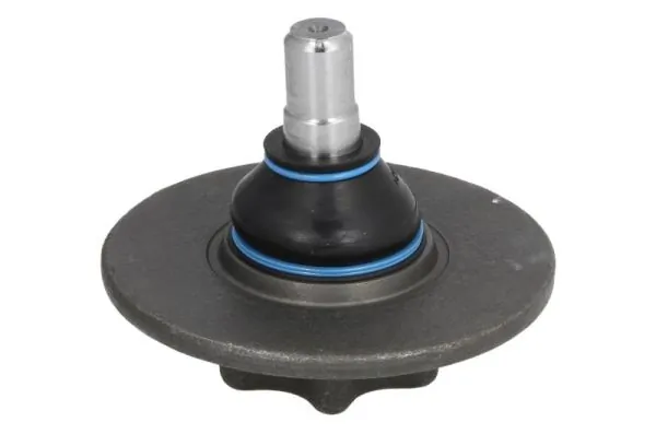 RH032040 Reinhoch