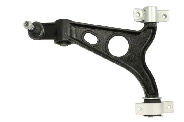 RH041006 Reinhoch
