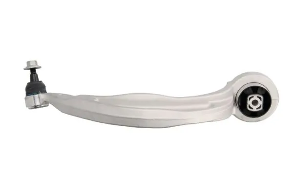 RH040033 Reinhoch