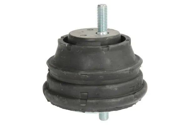 RH113009 Reinhoch