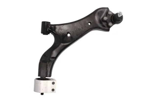 RH045021 Reinhoch