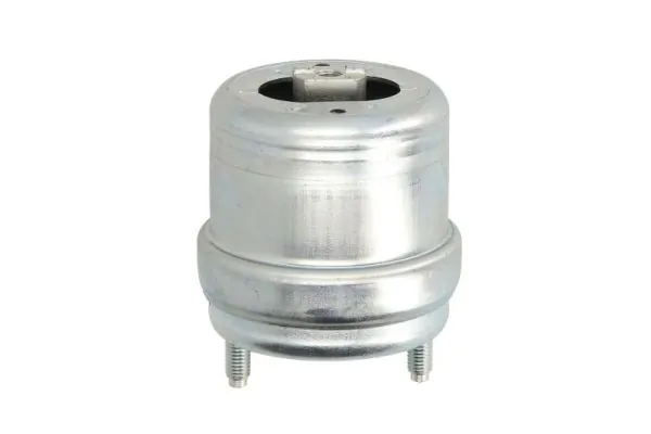 RH110054 Reinhoch