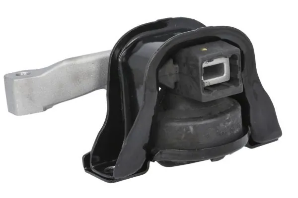 RH112211 Reinhoch