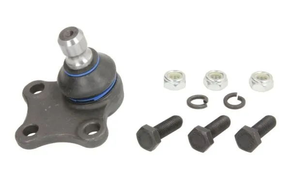 RH034004 Reinhoch