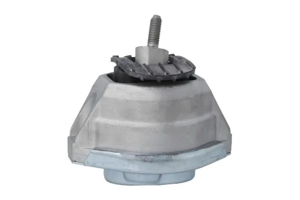 RH113143 Reinhoch