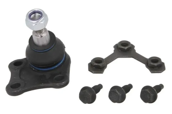 RH030027 Reinhoch
