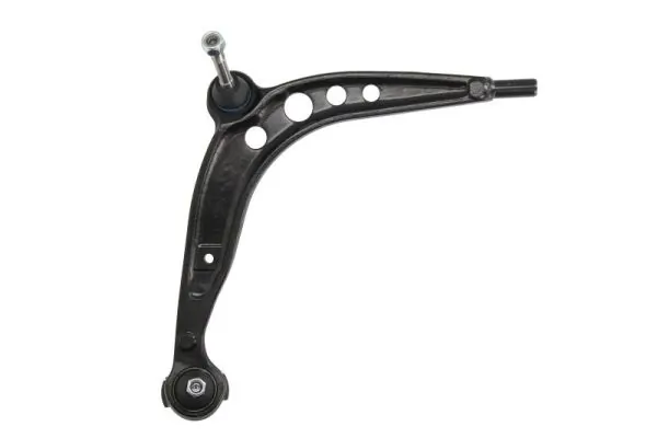 RH043039 Reinhoch
