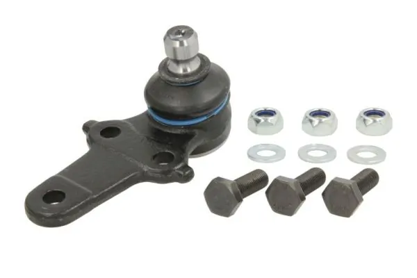 RH034010 Reinhoch