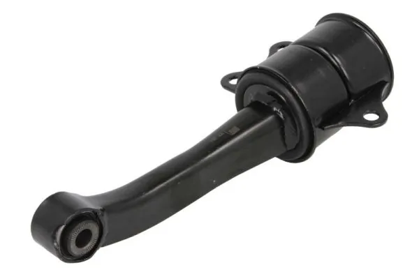 RH110027 Reinhoch