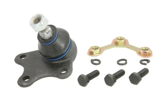 RH030001 Reinhoch
