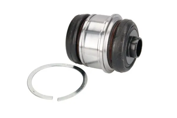 RH153005 Reinhoch