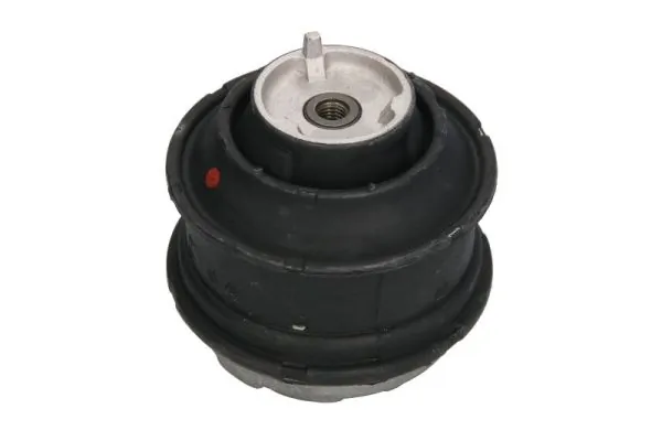 RH113004 Reinhoch