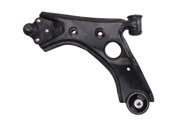 RH041002 Reinhoch