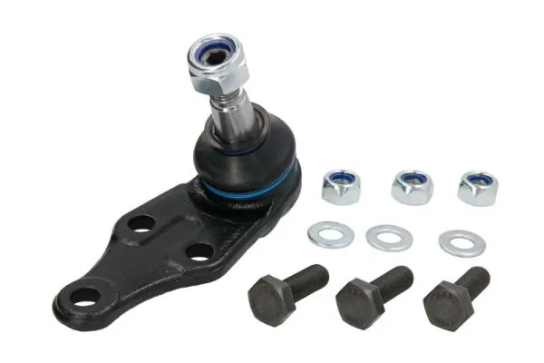 RH035011 Reinhoch