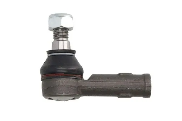 RH015017 Reinhoch